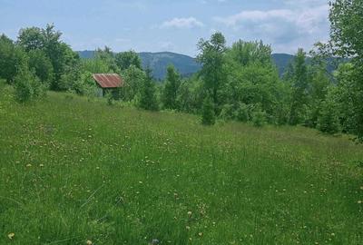 Spațiu comercial, în Scărișoara - 4