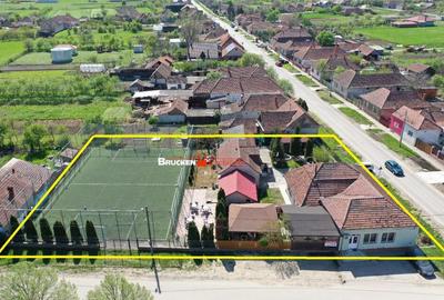 PROPRIETATE CU AFACERE FUNCTIONALA DE - PETREU, LANGA MARGH - 2