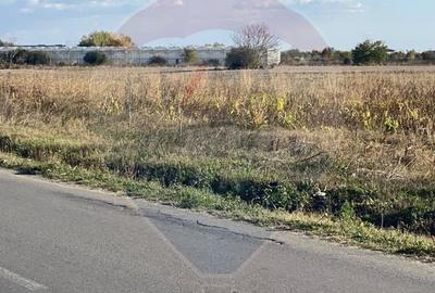 Teren Construcții intravilan de 7000 mp, în Stoenești (Florești-Stoenești) - 5
