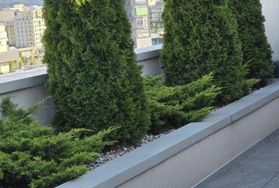 Apartament tip penthouse, Urban Pentha, Coresi - 1