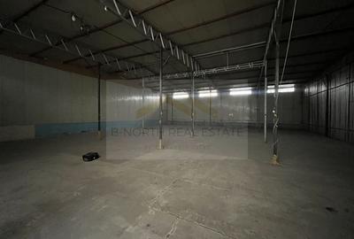 Hale de Inchiriat - 11