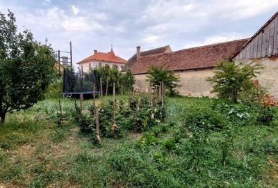 Casa 3 camere suprafata utila 80mp,si teren 960mp, spre vanzare in Sacel - 9