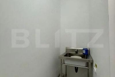 Casă cu 9 camere cu Teren 1000 Mp în Central - 19