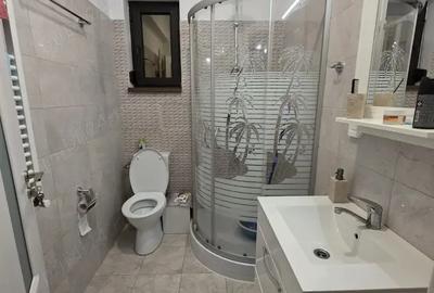 Casa vanzare P+M, Pantelimon - 2