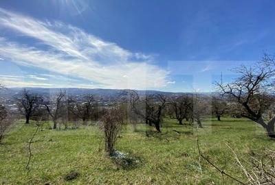 Oportunitate! Teren intravilan - ULiu, 2200 mp, zona strazii - 1