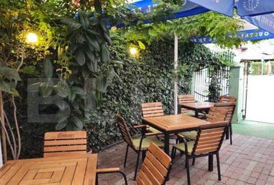 Spatiu comercial, 100 mp, terasa, Bld. Castanilor Spatiu comercial, 100 mp, terasa, Bld. Castanilor - 4