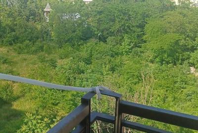 Garsonieră nedecomandată în Apărătorii Patriei - 8