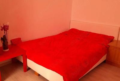 Apartament cu 2 camere semidecomandat în Albiș - 3