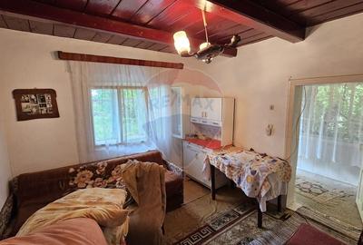 Casa  de vanzare cu teren 9200 mp, Padureni-Sendriceni, Botosani - 8