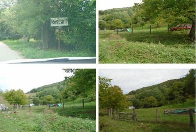 Teren de 2825 mp, în Roșcani - 4