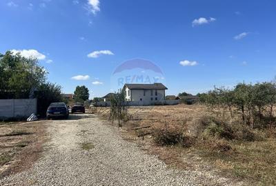 Teren ideal pentru casa de vis in Mogosoaia - 849,3 mp, cu utilitati Teren ideal pentru casa de vis in Mogosoaia - 849,3 mp, cu utilitati - 15