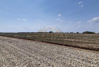 Teren de 475 mp, în Berceni - 2