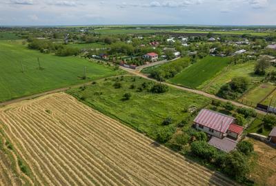 FRUMUSANI - POSTAVARI, TEREN 1500 MP, FRONT 30 M ! - 24