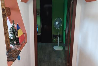 Apartament cu 2 camere decomandat în Remetea Mare - 6