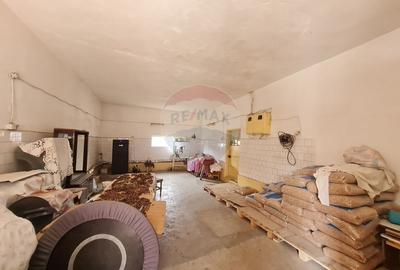 Casa cu 5 camere de vanzare la strada Principala - 12