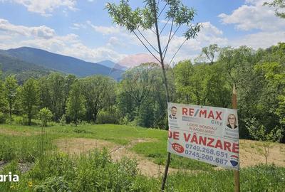 Teren de 2910 mp, în Hangu - 17