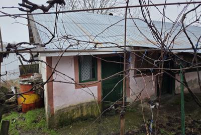 Spațiu comercial, în Siliștea - 1