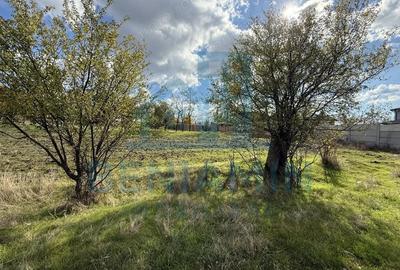 Teren de 1000 mp, în Mischii - 1