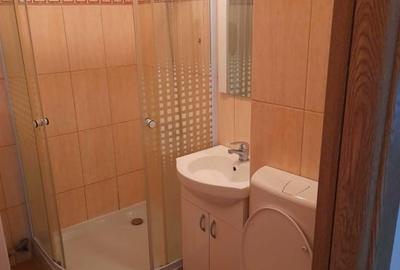 INCHIRIERE-APARTAMENT 2 CAMERE-ALEXANDRU CEL BUN - 7