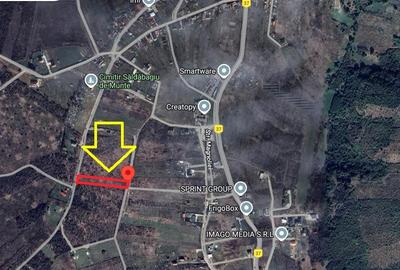 Teren Construcții intravilan de 1239 mp, în Săldăbagiu de Munte - 6