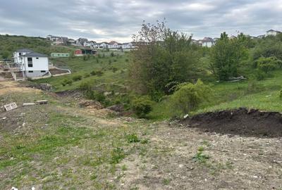 Teren de 1000 mp, în Apahida - 3