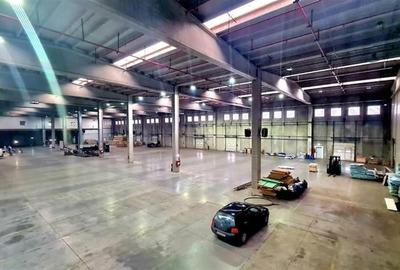 Hala industriala de vanzare Timisoara, trafo propriu 1000 kva - 6