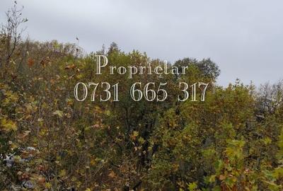 Apartament cu 2 camere semidecomandat în Pantelimon - 2