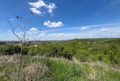 Teren de 8200 mp, în Lugoj - 3