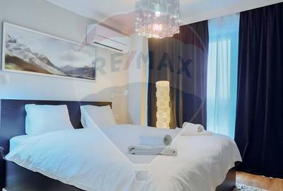 Apartament 2 camere in zona Calea 13 Septembrie - 3