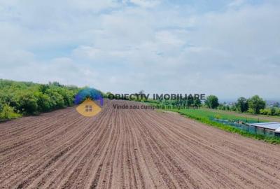 Teren- Com. Stefan cel Mare- jud. Neamt - 6