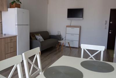 Apartament cu 2 camere decomandat în Lazaret - 14