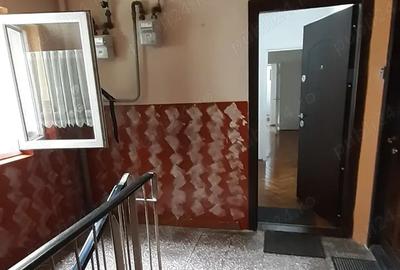 Proprietar vand in Lugoj ap.cu 2 camere,et.1, 60000 e ,complet renovat cu vedere la malul Timisului - 4