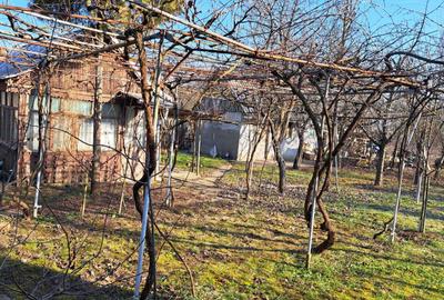 Casă cu 1 camere în Niuved - 2