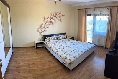Apartament cu 2 camere decomandat în Dumbrăvița - 4