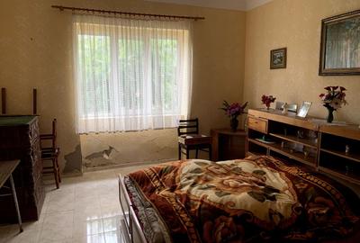 Casă cu 4 camere cu Teren 3113 Mp în Otelec - 5