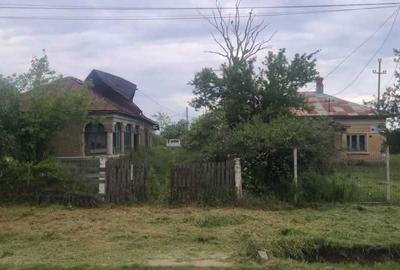 Casă cu Teren 870 Mp în Sârbeni - 1