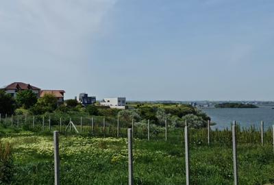 Teren de vanzare in Palazu Mare zona lac Siutghiol - 5