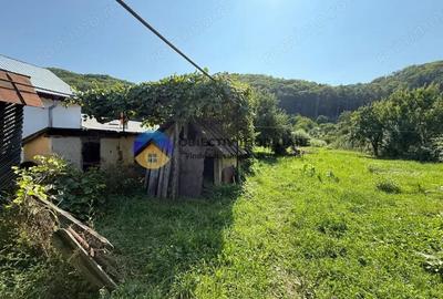 Casa batraneasca / Piatra Neam? / Pentru iubitorii de natura - 4