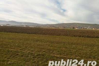 Teren de 600 mp, în Central - 3