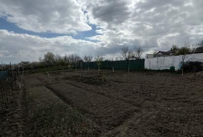 Casă individuală cu 2 camere cu Teren 1100 Mp în Central - 5