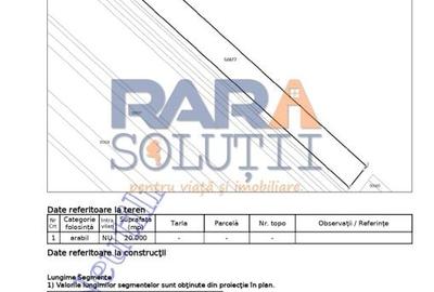 Teren 20.000 mp - perfect plan, compact, deschidere = 40 metri - 3