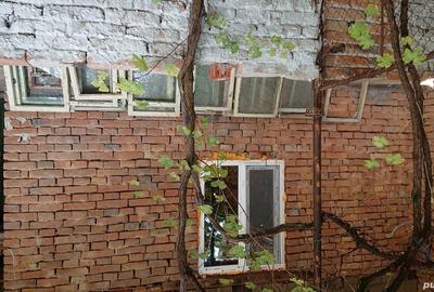 Casă cu 2 camere în Tisa - 3