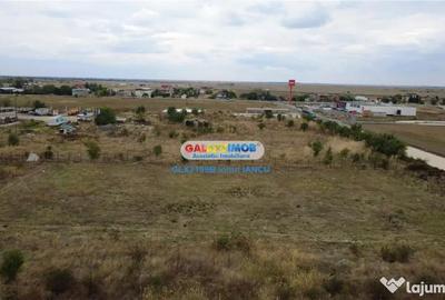 Teren de 3000 mp, în Mihăilești - 6