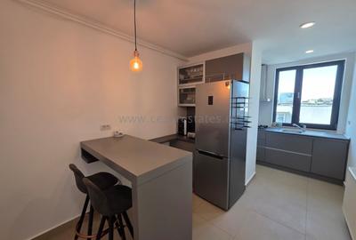 Apartament cu 2 camere decomandat, mobilat în Herăstrău - 13