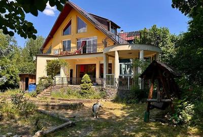 Casa versatila, cu potential real de investitie Sacele - 19