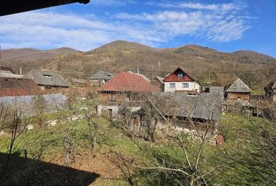 Casă cu Teren 1520 Mp în Nănești - 4