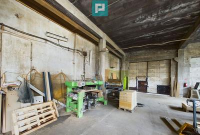 Fabrica de prelucrare a lemnului ?i palului - 1