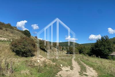 Teren agricol extravilan de 40000 mp, în Gușterița - 1