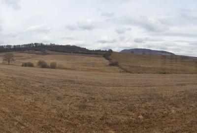 Spațiu comercial, în Sigmir - 5