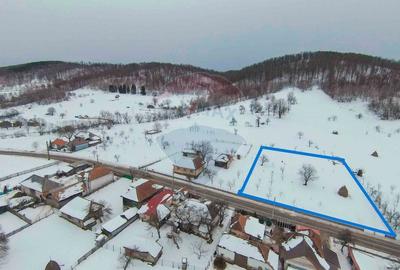 Teren Construcții intravilan de 3000 mp, în Damiș - 1